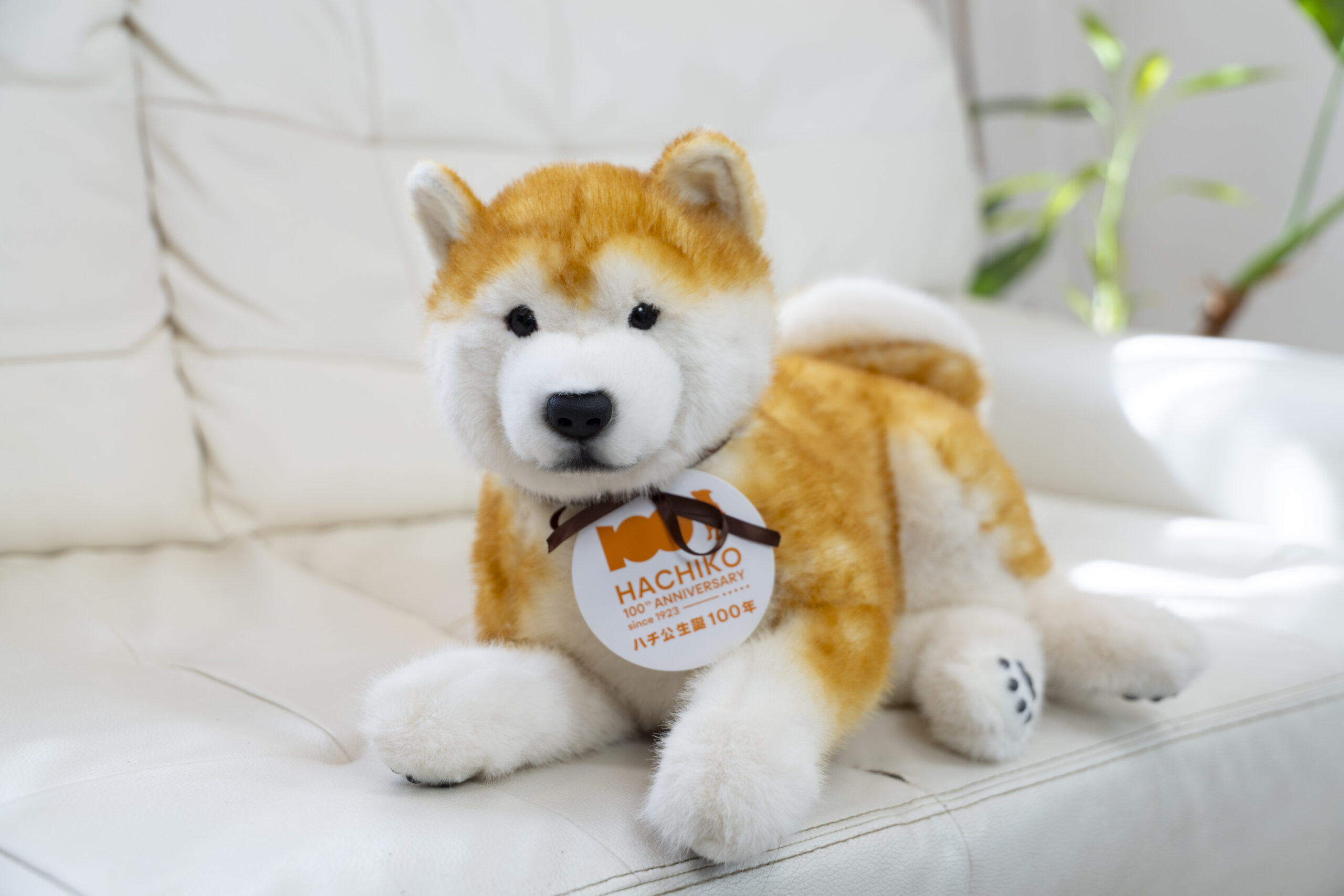 なでなでワンちゃん 秋田犬 HACHI ハチ ぬいぐるみ 電子ペット 鳴くぬいぐるみ 鳴くおもちゃ 犬 おもちゃ かわいい プレゼント付